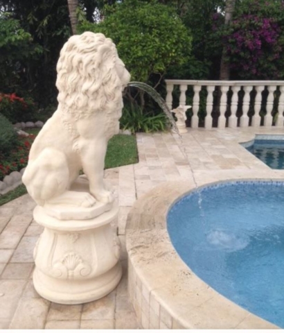 lion-fountain-spitting-into-pool