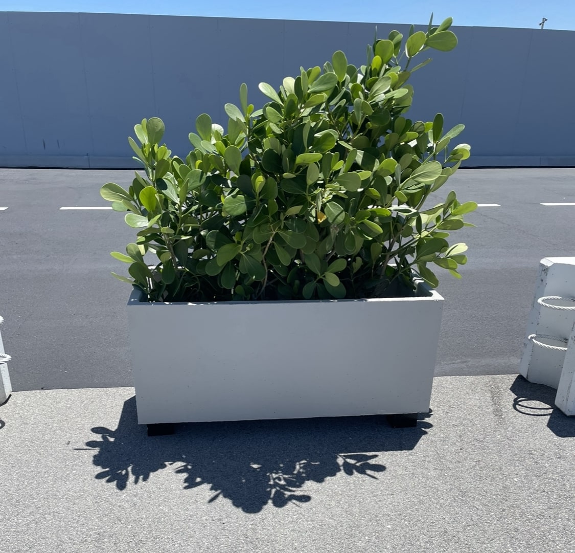"4' Modern Rectangular Planter" Artistic Statuary